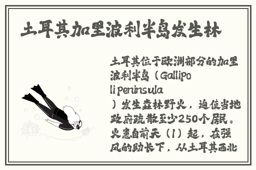 一区二区无人区